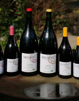Gamme de vins2