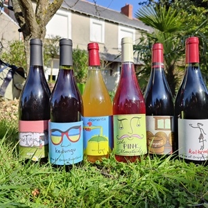 vins sudaf