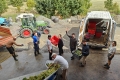 IMG20250904122559